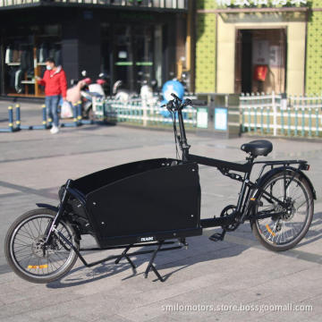 750w cargo ebikes Otkargo new design 2 wheeler